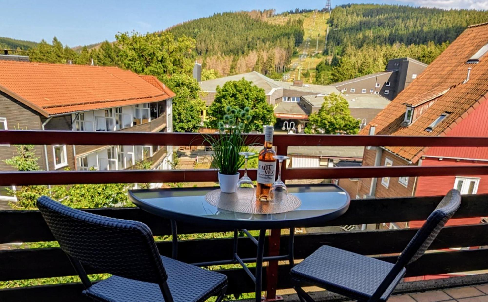 Chill Out Apartment Bergblick Гослар Екстериор снимка