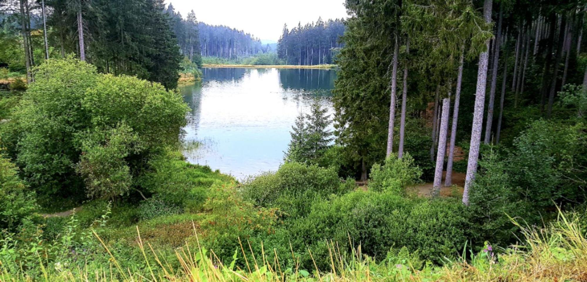 Chill Out Apartment Bergblick Гослар Екстериор снимка