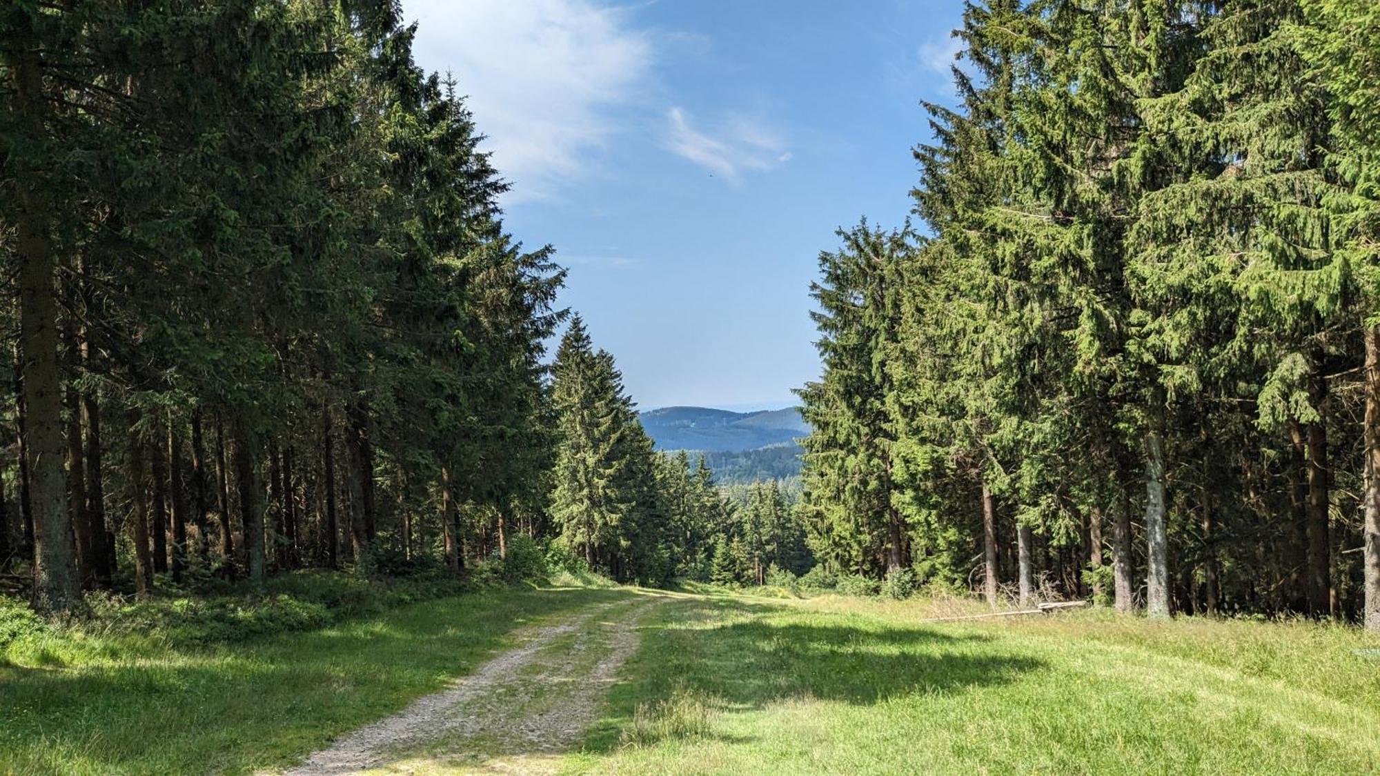 Chill Out Apartment Bergblick Гослар Екстериор снимка