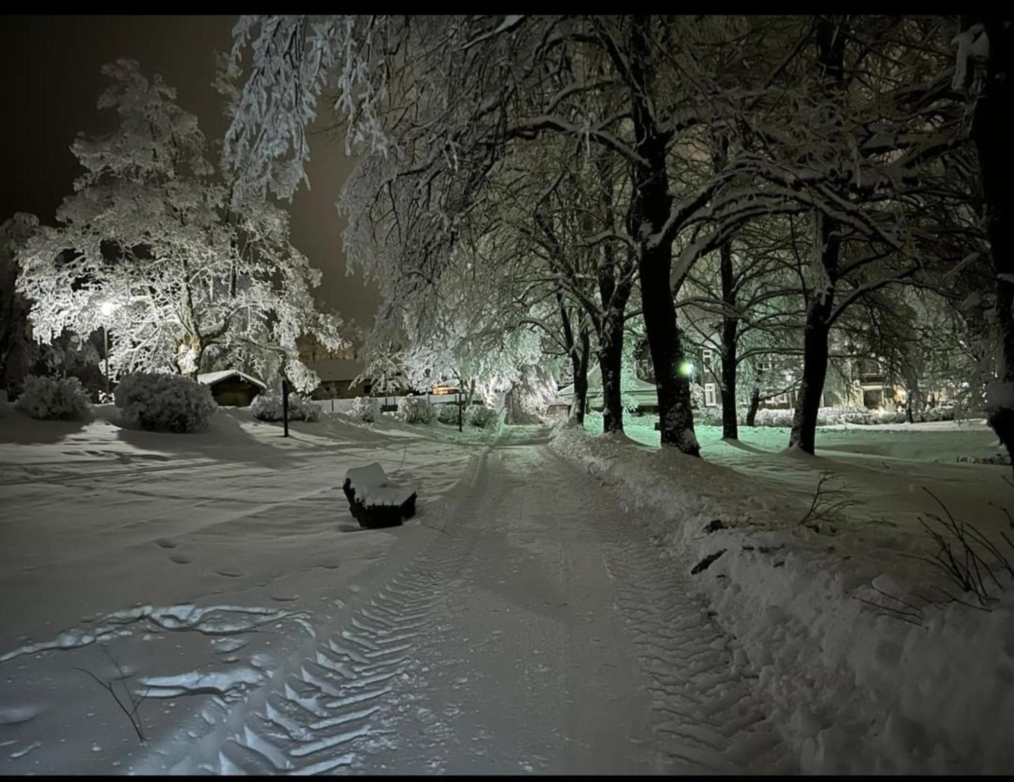 Chill Out Apartment Bergblick Гослар Екстериор снимка